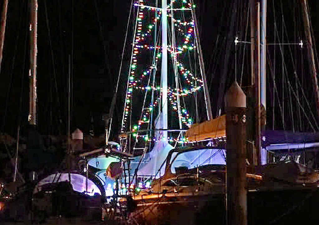 LIGHTS ON: Kristy Dellachy’s nautical Christmas tree. LIGHTS ON: Kristy Dellachy’s nautical Christmas tree.
