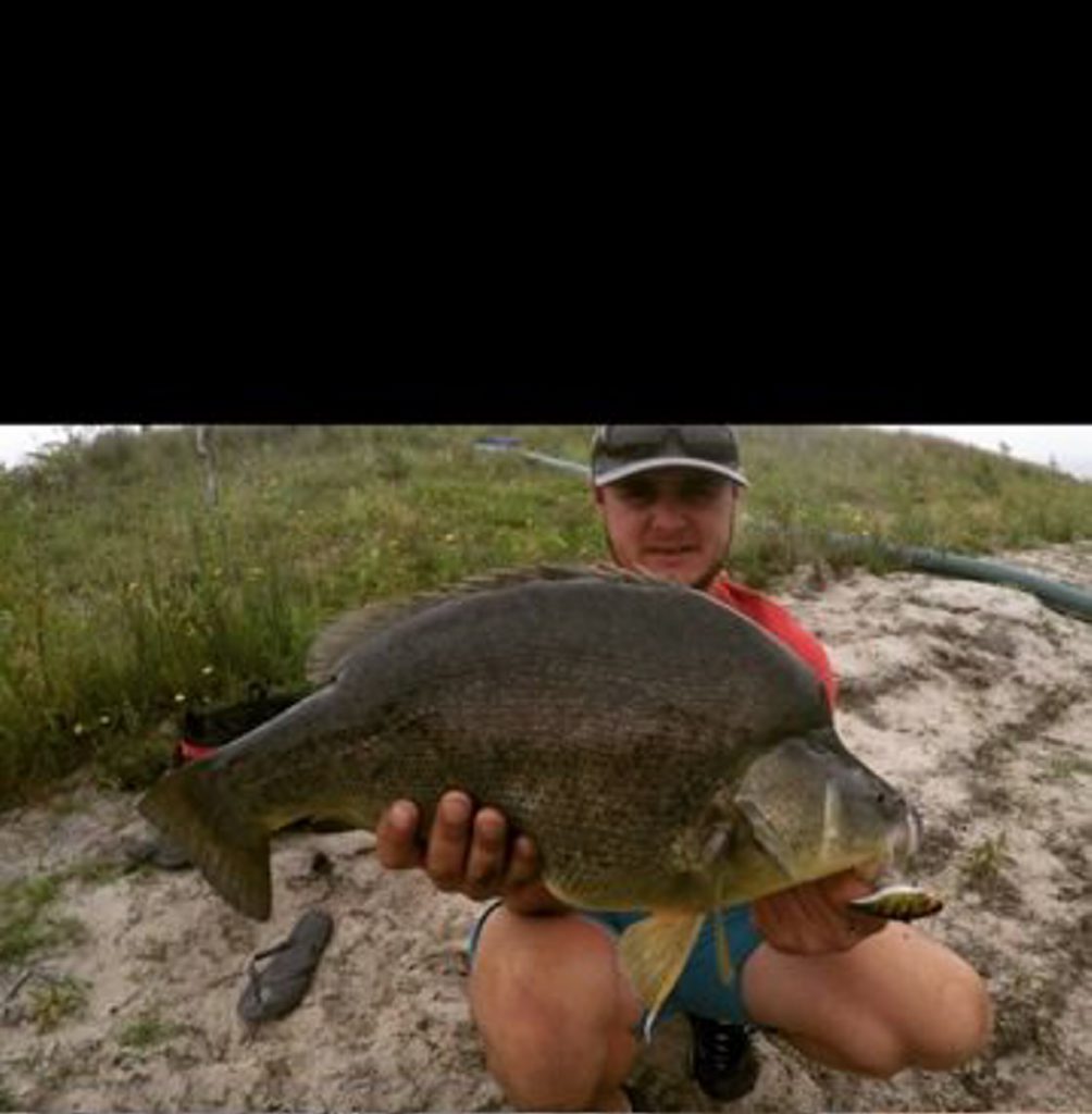 Nick Cosmo landed this massive 60cm Golden Perch on a Jackall TN60 in the Ballandean area. Nick Cosmo landed this massive 60cm Golden Perch on a Jackall TN60 in the Ballandean area.