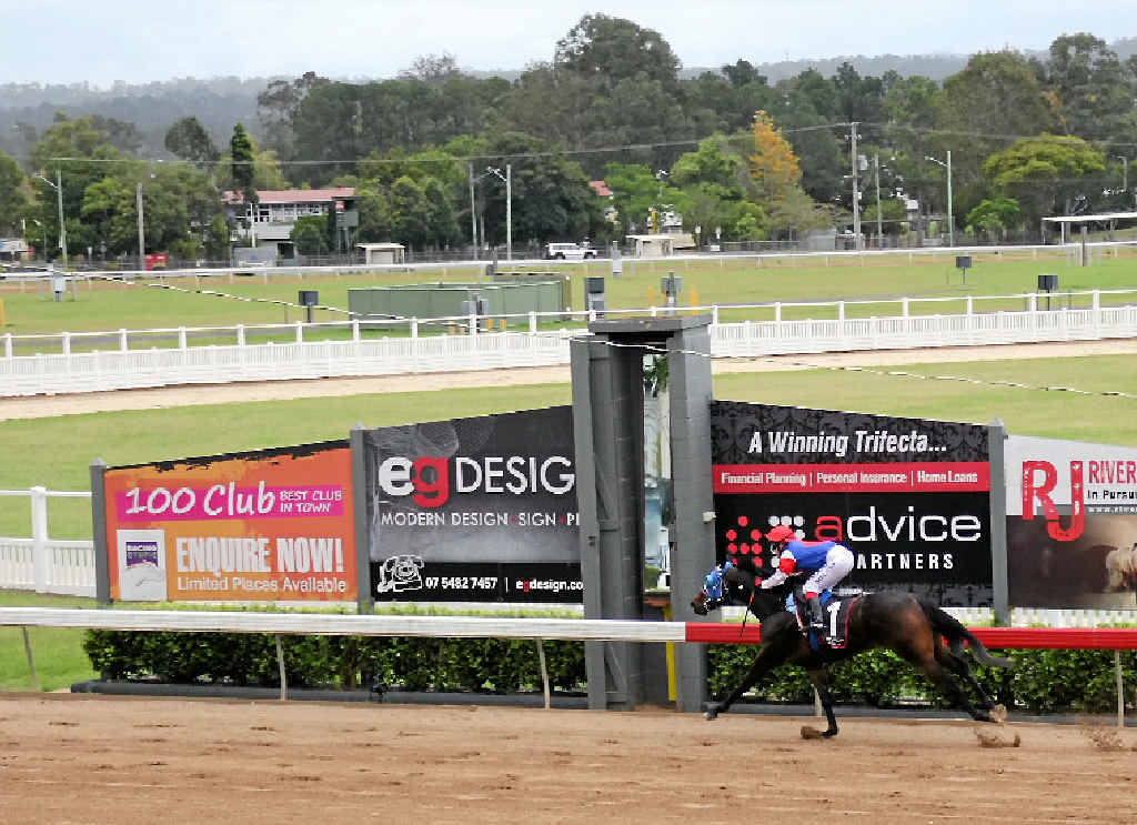 Renovation works are being carried out on the Gympie Racecourse track. The work involves grading and evening out the depth of sand on the track. Renovation works are being carried out on the Gympie Racecourse track. The work involves grading and evening out the depth of sand on the track.