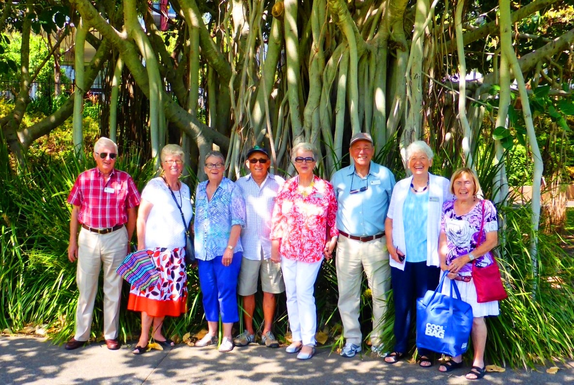 Exploring 3 Brisbane Innercity Landmarks