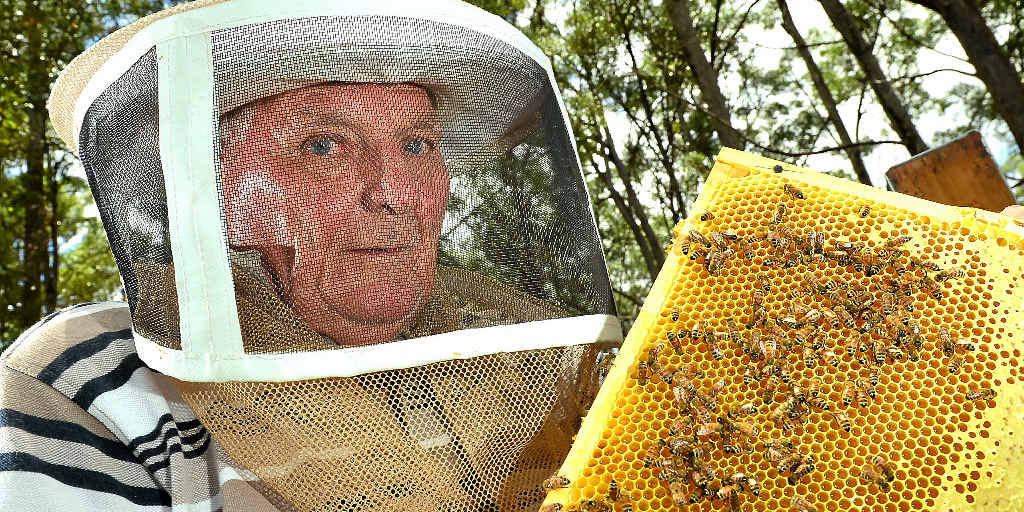 SWEET SUCCESS: Beekeeper Tony L’Estrange says demand for manuka honey is huge and the Coast seems perfectly placed to cash in. SWEET SUCCESS: Beekeeper Tony L’Estrange says demand for manuka honey is huge and the Coast seems perfectly placed to cash in.