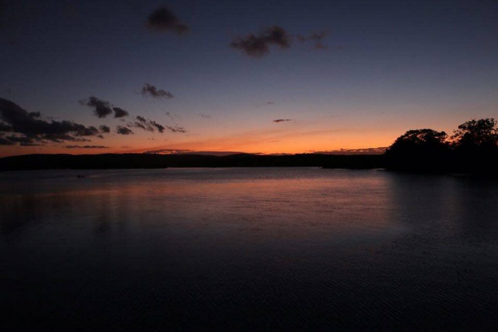 Laura Gostelow's photo. Laura Gostelow's photo.