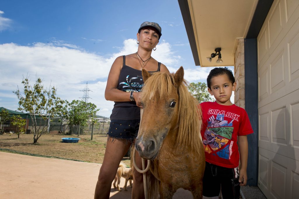 Renae Shelford together with her son Kahrlin, 6, stand by their injured miniature horses Pinky and Whisper. Renae Shelford together with her son Kahrlin, 6, stand by their injured miniature horses Pinky and Whisper.