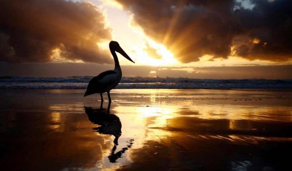 Sandra Cochrane's photo. Sandra Cochrane's photo.