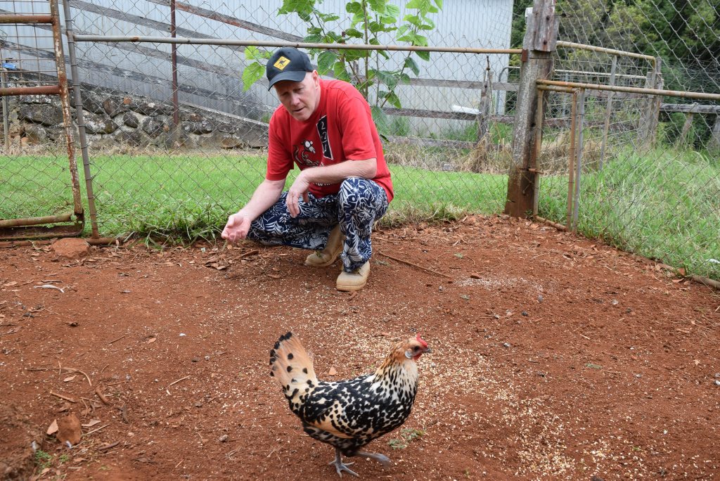 After being missing for six days David Reeve rescued his super chook 'Spocky' from a well. After being missing for six days David Reeve rescued his super chook 'Spocky' from a well.