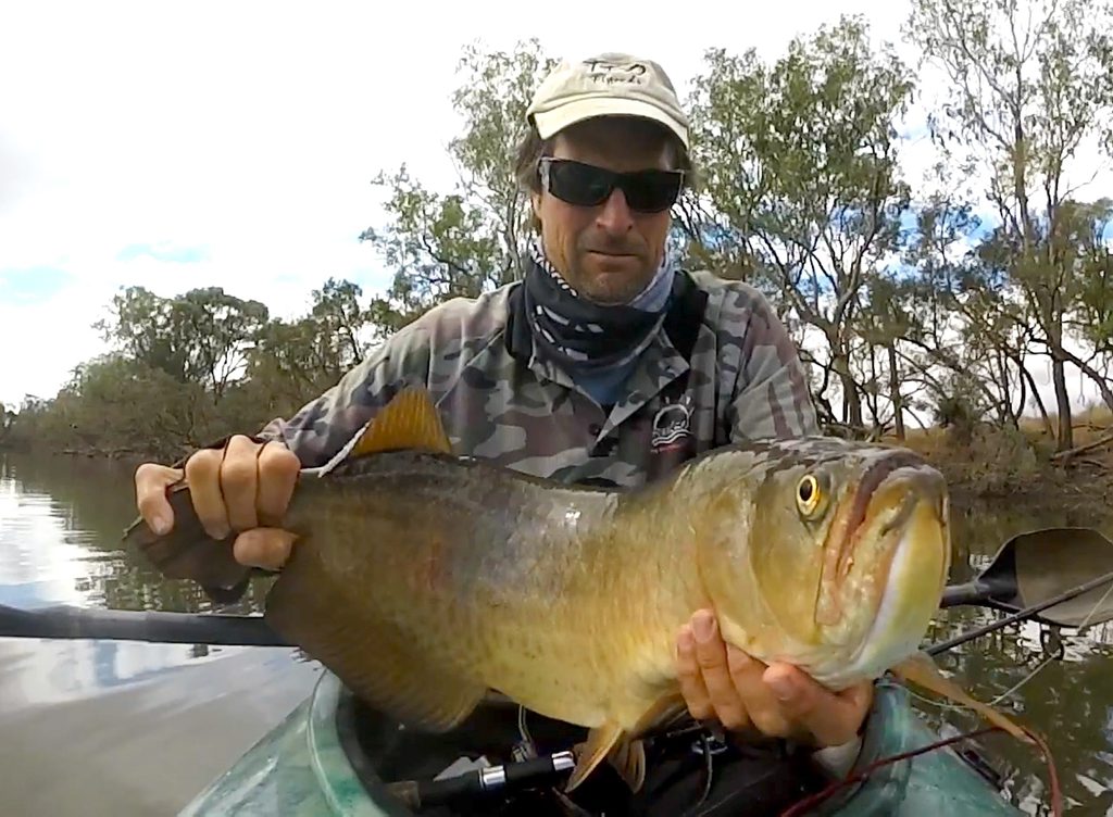 Andy Thomsen with a 72cm Saratoga from the Issac River Andy Thomsen with a 72cm Saratoga from the Issac River