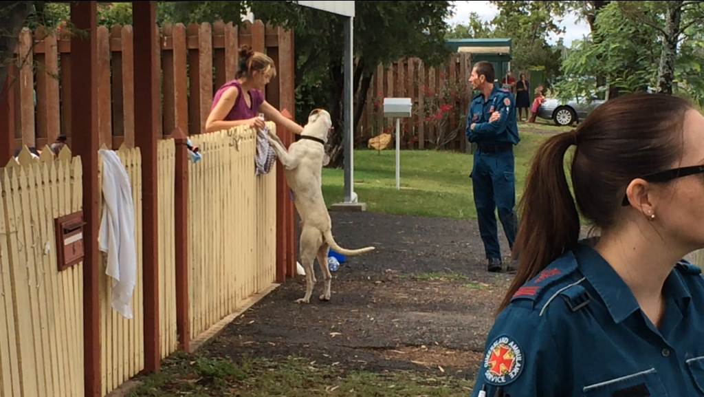A woman is reunited with her dog after it was saved from a house fire by Queensland Fire and Emergency Services crews. A woman is reunited with her dog after it was saved from a house fire by Queensland Fire and Emergency Services crews.