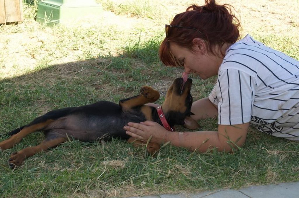 A very happy Loki after being reunited with owner Samantha. A very happy Loki after being reunited with owner Samantha.