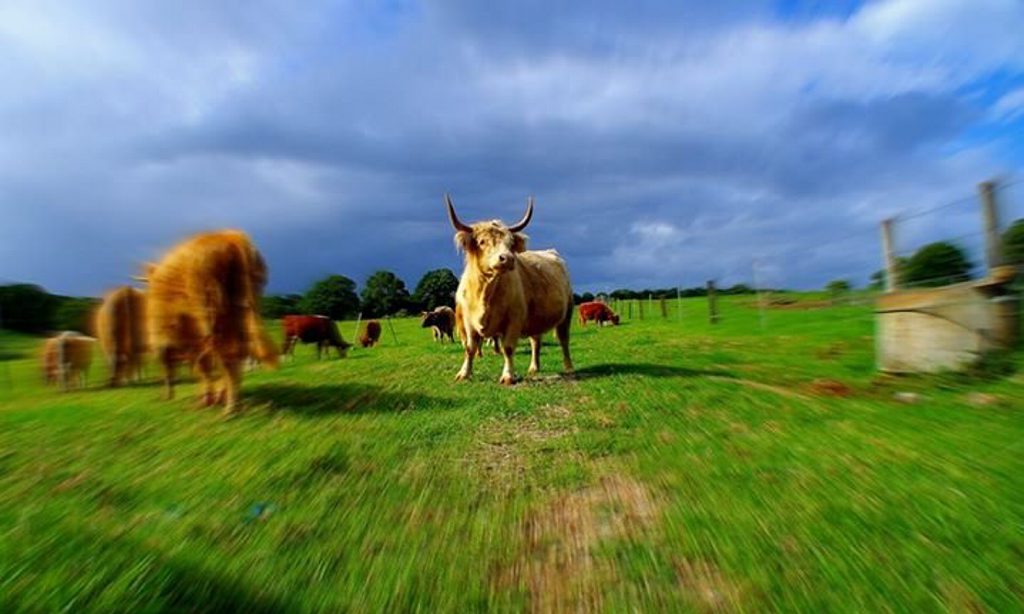 Russell Riordan's photo. Russell Riordan's photo.