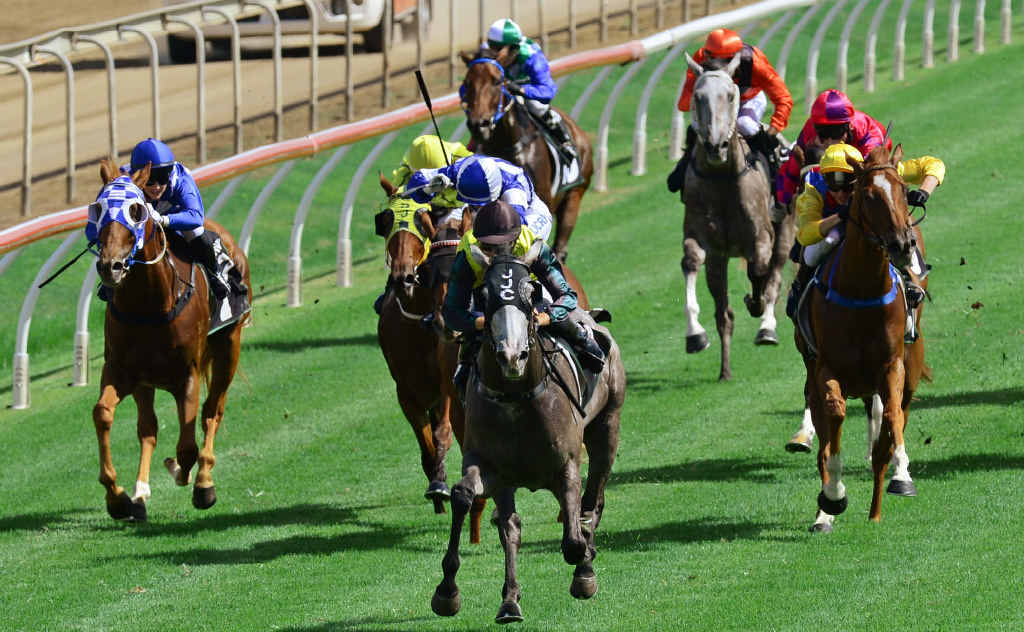 IN THE CLEAR: Agora, ridden by jockey Emma Ljung, claimed Race 5 during a successful day at Ipswich racecourse on Saturday. IN THE CLEAR: Agora, ridden by jockey Emma Ljung, claimed Race 5 during a successful day at Ipswich racecourse on Saturday.