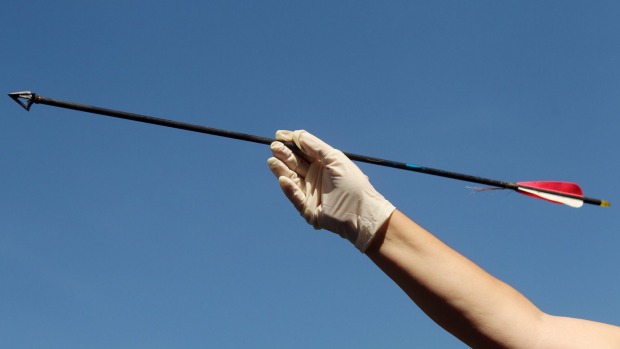 The man was shot with an arrow similar to the one pictured. Photo: Chris Lane
The man was shot with an arrow similar to the one pictured. Photo: Chris Lane