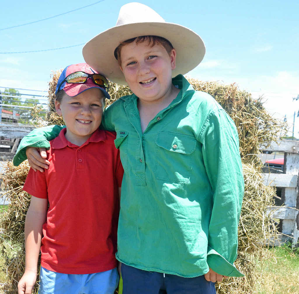 YOUNG ENTREPRENEURS: Cameron and William Reardon successfully sold their three chickens at the pig and calf sale. YOUNG ENTREPRENEURS: Cameron and William Reardon successfully sold their three chickens at the pig and calf sale.