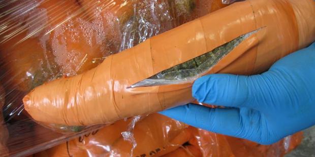 Marijuana hidden in a carrot-like packages was found by Texas customs officers. Photo / US Customs and Border Protection Marijuana hidden in a carrot-like packages was found by Texas customs officers. Photo / US Customs and Border Protection
