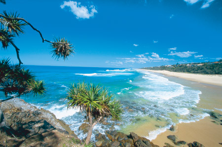 Meet the Candidates for the Noosa Council Election