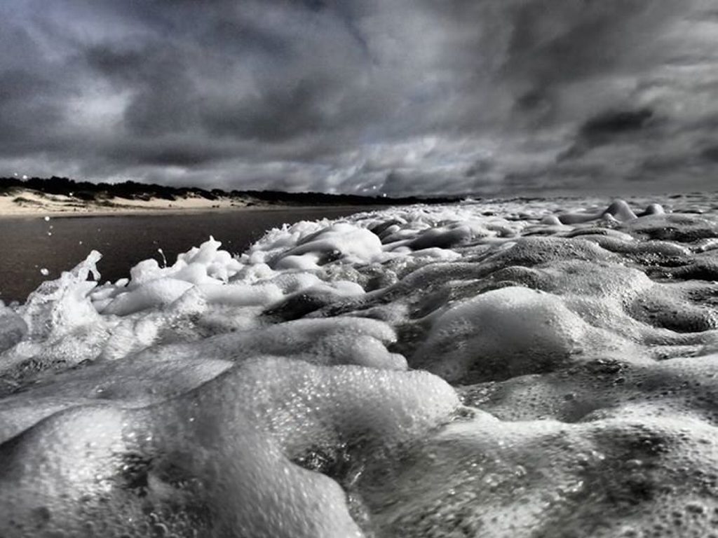 Matt Lynch's photo. Matt Lynch's photo.