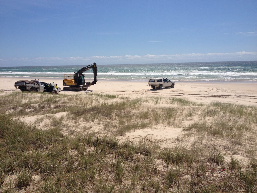 Council workers at the site on Casuarina Beach where the whale was exhumed Council workers at the site on Casuarina Beach where the whale was exhumed