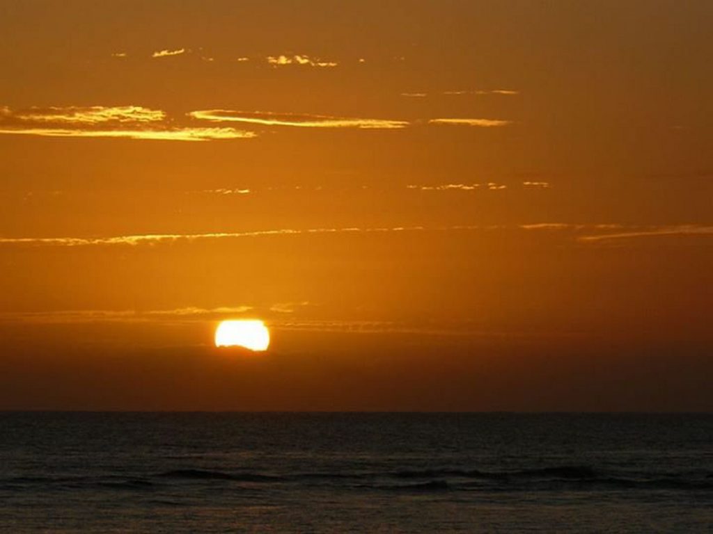 Ellie Cameron's photo. Ellie Cameron's photo.
