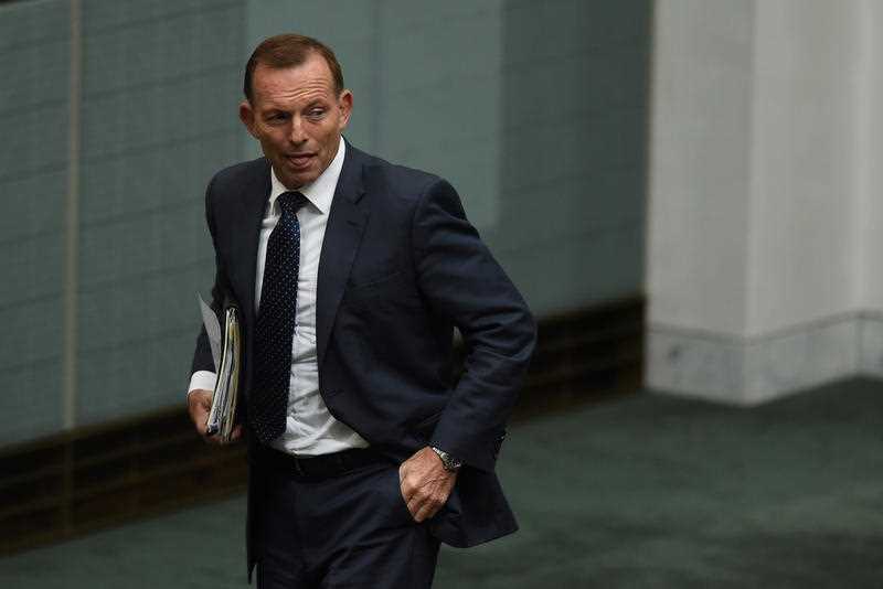 Following weeks of speculation, former prime minister Tony Abbott has confirmed he will recontest the federal seat of Warringah at the next election. Following weeks of speculation, former prime minister Tony Abbott has confirmed he will recontest the federal seat of Warringah at the next election.