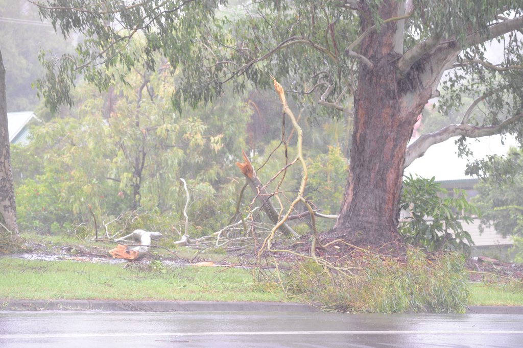 Lismore City inundated with heavy rain and wind leading to localised flooding and trees being blown over. Town was quiet with some residents braving the rain to get supplies. Photo Marc Stapelberg / The Northern Star Lismore City inundated with heavy rain and wind leading to localised flooding and trees being blown over. Town was quiet with some residents braving the rain to get supplies. Photo Marc Stapelberg / The Northern Star