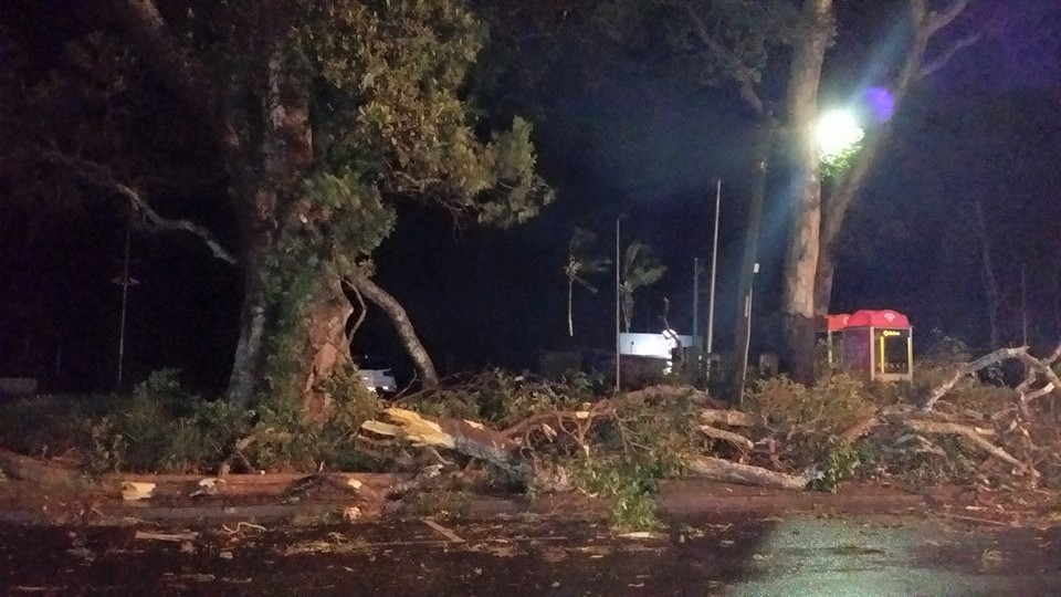 Ellen Foulds captured this image of trees down at Scarness Park during Friday night's storm. Ellen Foulds captured this image of trees down at Scarness Park during Friday night's storm.