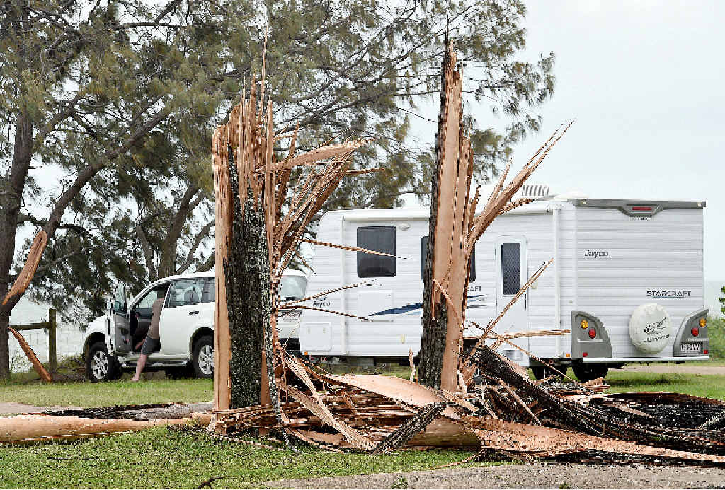 STRUCK DOWN: Huge trees were destroyed along the foreshore in the wild weather on Friday night. STRUCK DOWN: Huge trees were destroyed along the foreshore in the wild weather on Friday night.