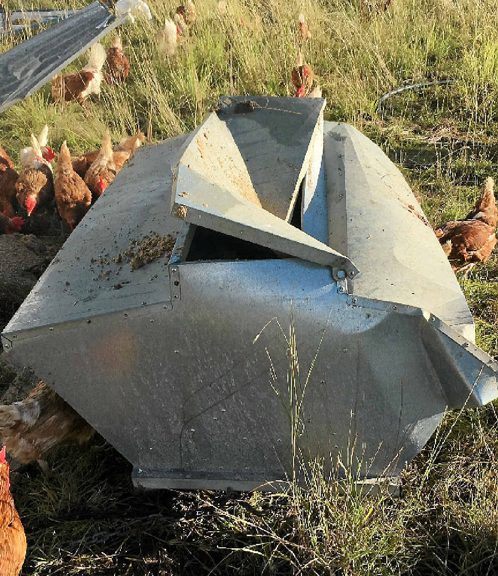 A damaged chicken grain feeder at Eggcettera.