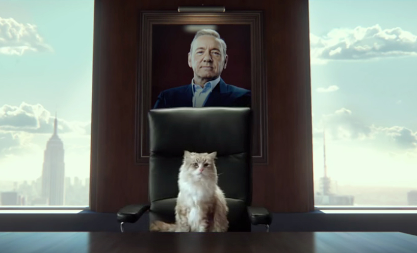 Kevin Spacey voices the character Mr Fuzzypants in the movie Nine Lives. Kevin Spacey voices the character Mr Fuzzypants in the movie Nine Lives.