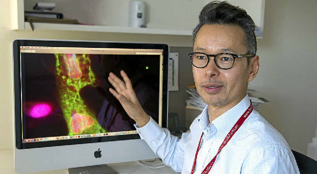 Professor John Kwok studies lifestyle factors and their effect on Alzheimer’s. Professor John Kwok studies lifestyle factors and their effect on Alzheimer’s.