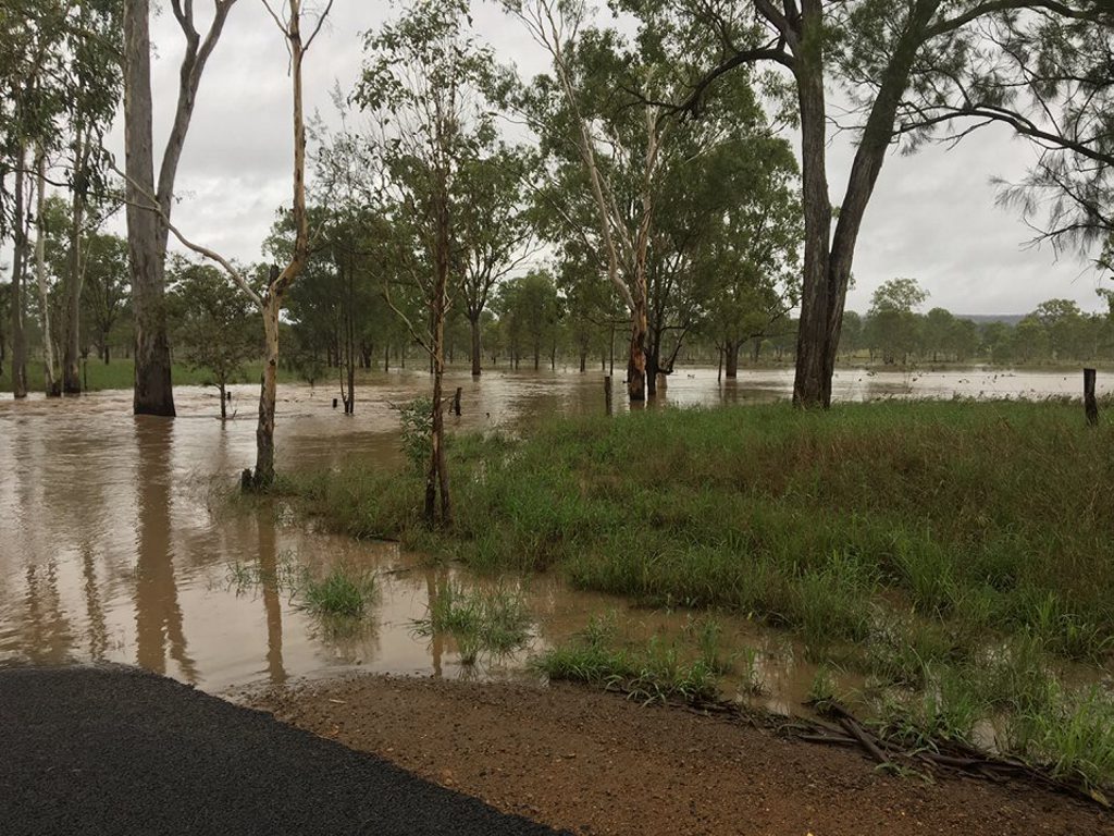 The 80-year-old man and his horse disappeared in the flood waters of his property.Contributed The 80-year-old man and his horse disappeared in the flood waters of his property.Contributed