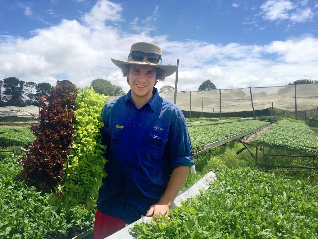 FRESH FOOD: Kfarm wholesale manager Emlyn Brosnan with the lettuce they supply Sofra Turkish Cuisine and other restaurants in Toowoomba, Brisbane and Gold Coast. FRESH FOOD: Kfarm wholesale manager Emlyn Brosnan with the lettuce they supply Sofra Turkish Cuisine and other restaurants in Toowoomba, Brisbane and Gold Coast.