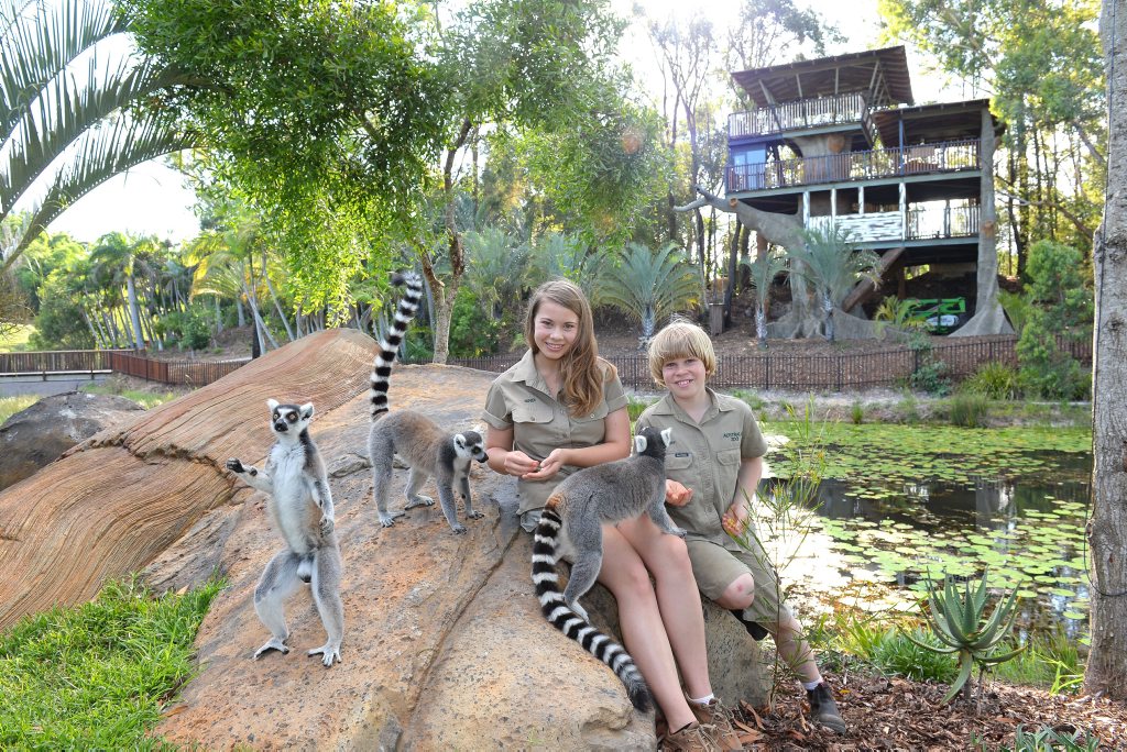 Bindi Irwin... heading back into the TV limelight with her mum Terri and brother Robert Bindi Irwin... heading back into the TV limelight with her mum Terri and brother Robert