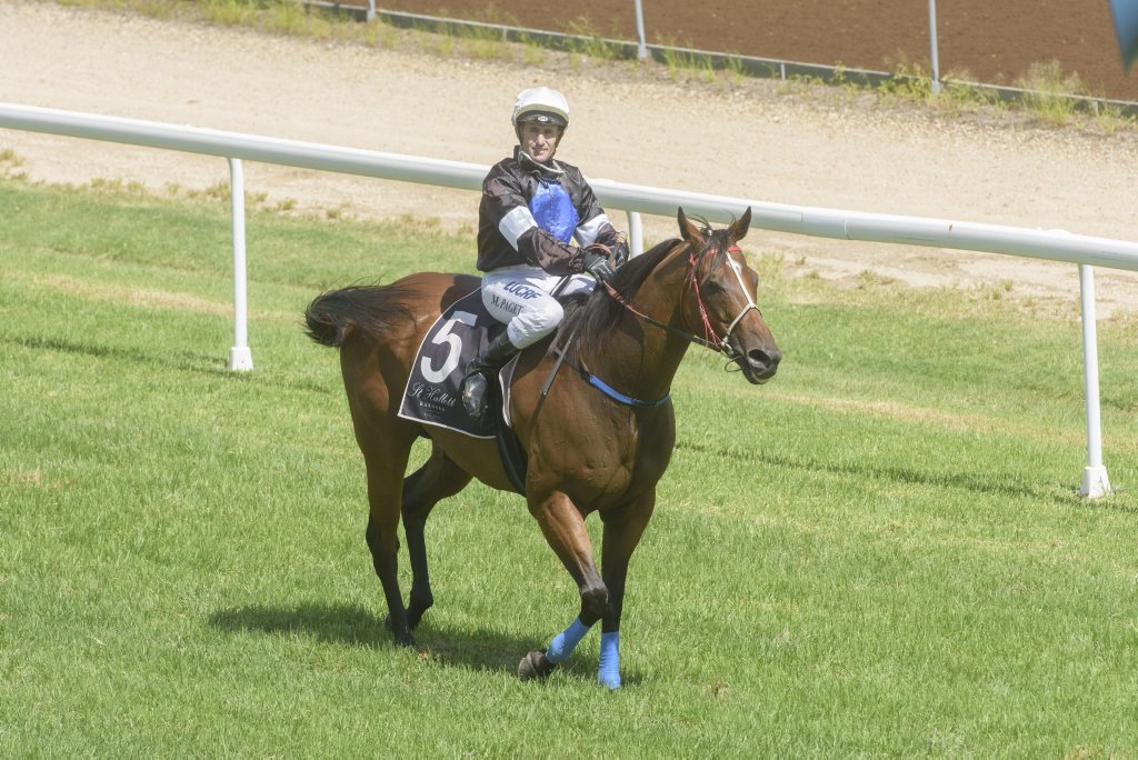 Matthew Page brings 5- Splitzer back to scale after a narrow win in Race 4 at the Clarence River Jockey Club. Matthew Page brings 5- Splitzer back to scale after a narrow win in Race 4 at the Clarence River Jockey Club.