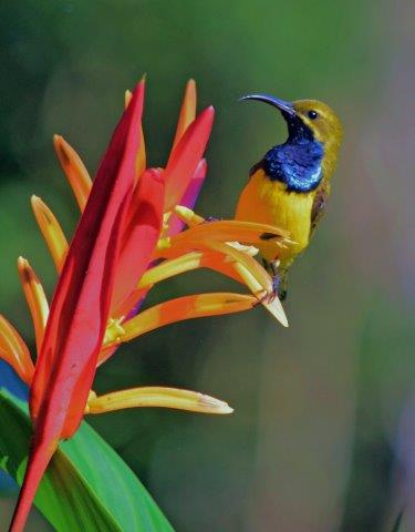 Thank you to all our Facebook photographers who sent in images for this week's cover search. Jay Wright - Just love these guys. Thank you to all our Facebook photographers who sent in images for this week's cover search. Jay Wright - Just love these guys.