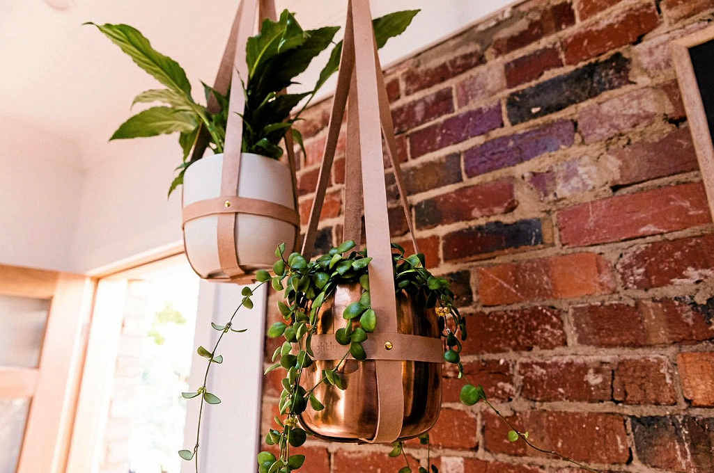 Exposed bricks as seen on Reno Rumble. Exposed bricks as seen on Reno Rumble.