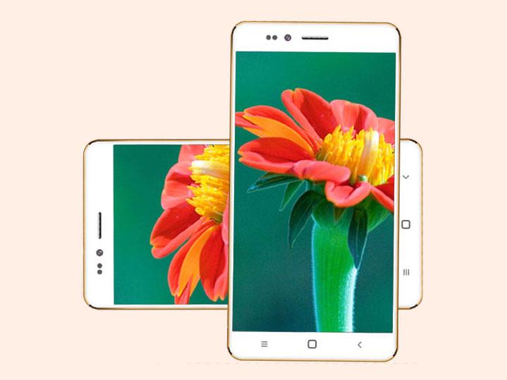 It is believed that the phone is subsidised by the Indian government
It is believed that the phone is subsidised by the Indian government