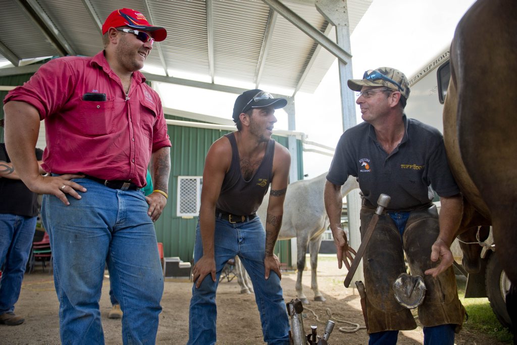 WATCH Horse owners' learn tricks of the farrier trade Observer