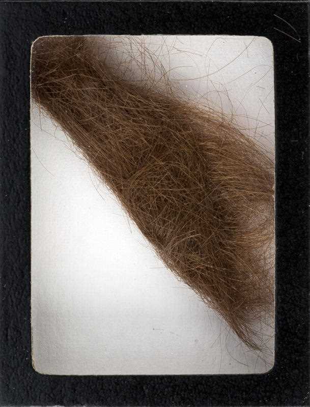 This photo provided by Heritage Auctions shows a 4-inch lock of hair that was collected by a German hairdresser who trimmed John Lennon's hair before he started shooting This photo provided by Heritage Auctions shows a 4-inch lock of hair that was collected by a German hairdresser who trimmed John Lennon's hair before he started shooting