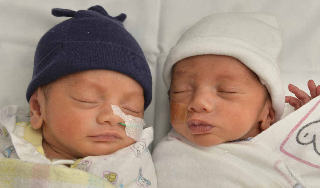 HELLO: Annessa Kahika and Mark Sapolu welcomed twins Koa and Fox at the Ipswich Hospital on February 5. HELLO: Annessa Kahika and Mark Sapolu welcomed twins Koa and Fox at the Ipswich Hospital on February 5.