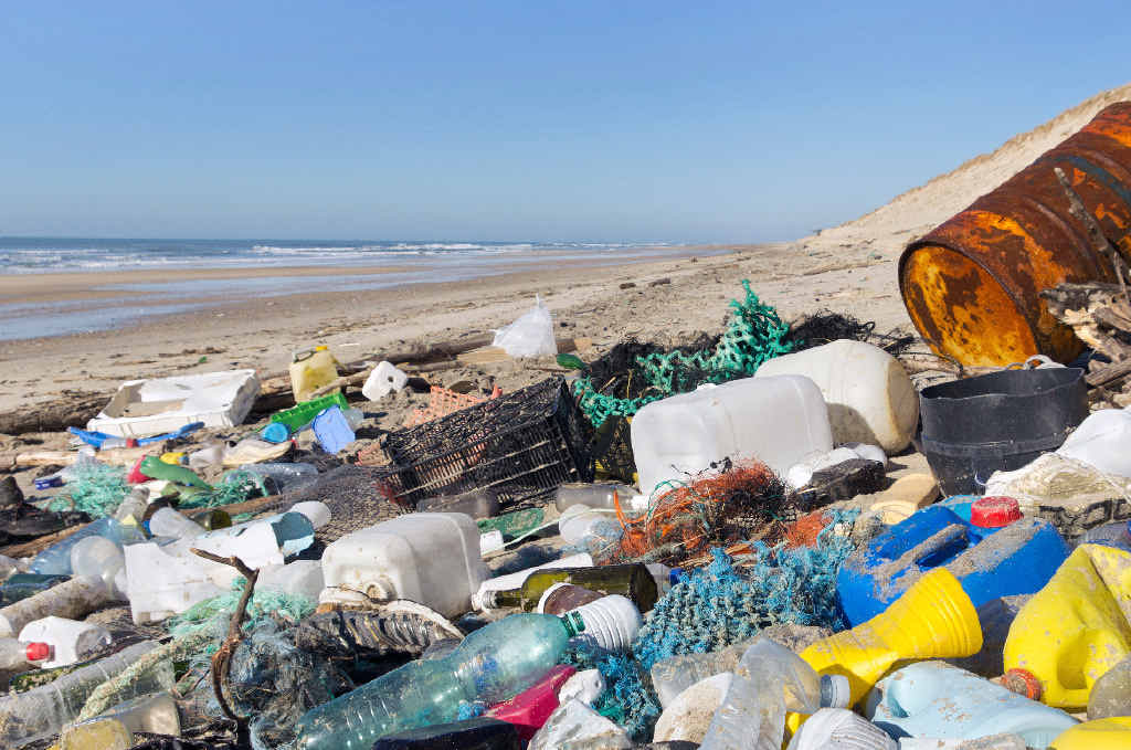 Beach litter doubles in 12 months Sunshine Coast Daily