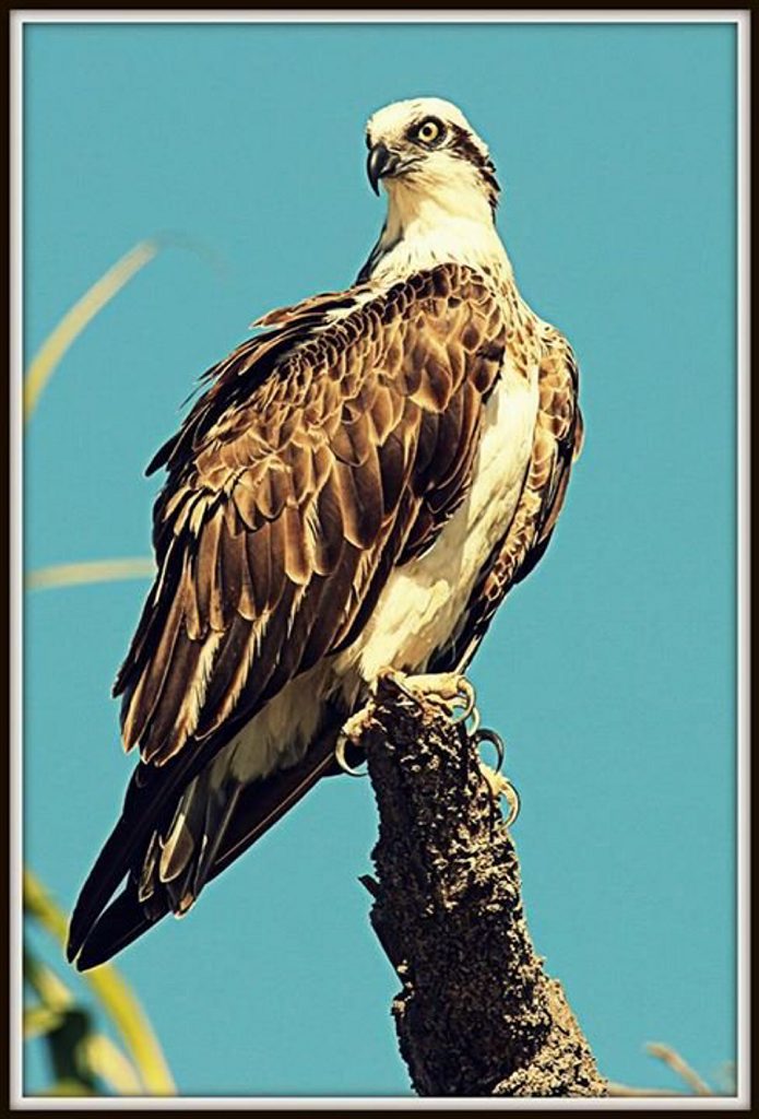 Chris Hosie's photo. Chris Hosie's photo.