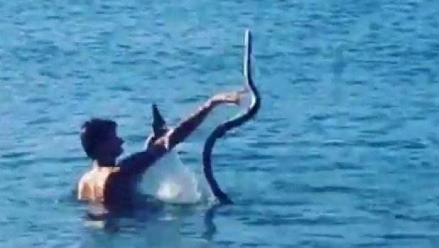 An onlooker filmed the man repeatedly throwing the snake into the water. An onlooker filmed the man repeatedly throwing the snake into the water.