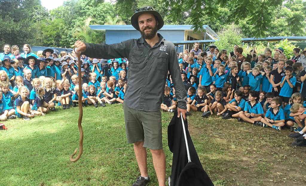 CAPTURED: Sunshine Coast Snake Catchers 24/7’s Lockie Gilding holds the eastern brown snake he caught at North Arm State School last month. CAPTURED: Sunshine Coast Snake Catchers 24/7’s Lockie Gilding holds the eastern brown snake he caught at North Arm State School last month.