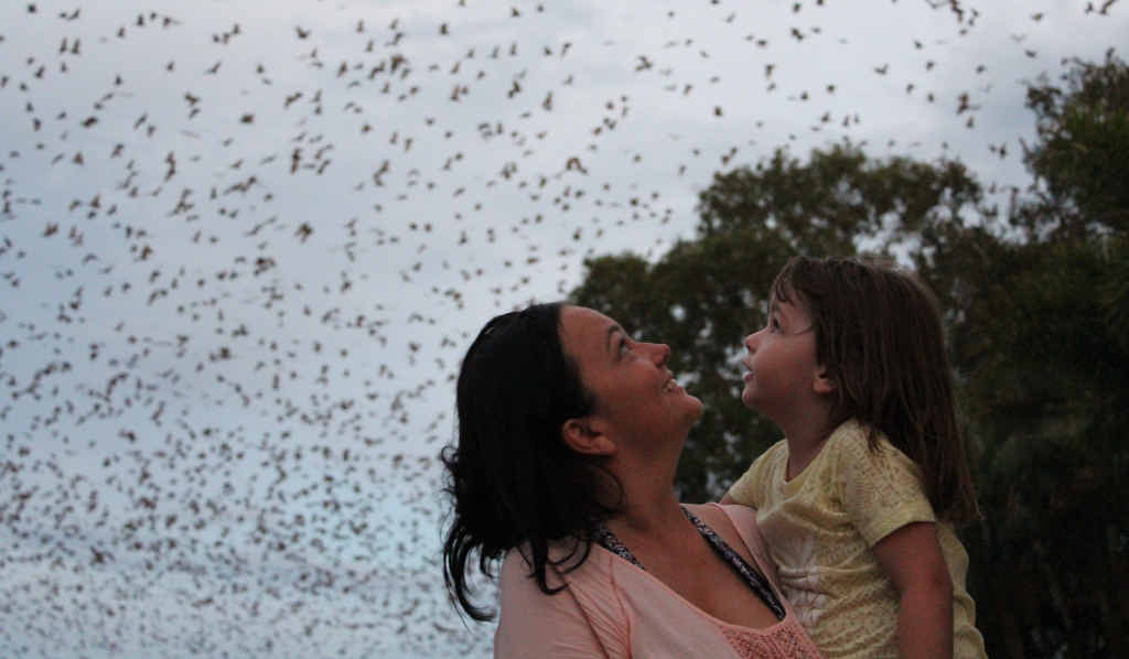 BAT GIRLS: Danielle Crawford and her daughter, Ava. BAT GIRLS: Danielle Crawford and her daughter, Ava.