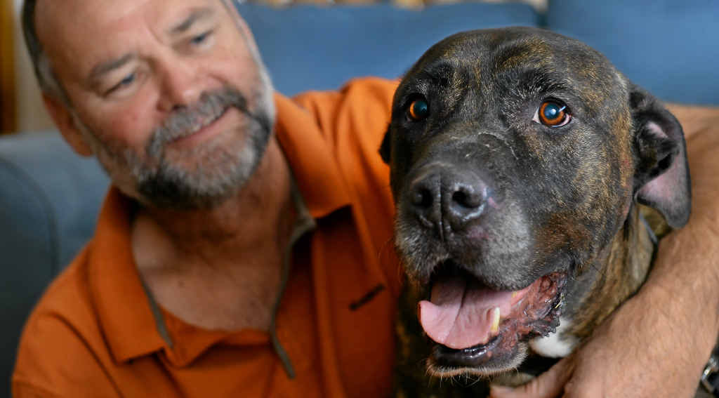 CHALLENGER: Kev Thomas, pictured with his dog Bruce, says there is too much small-lot development in Division 8. CHALLENGER: Kev Thomas, pictured with his dog Bruce, says there is too much small-lot development in Division 8.