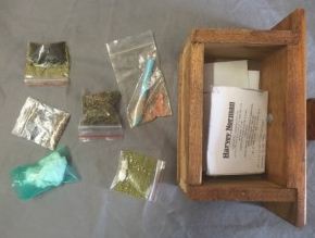 The raids recovered ice, speed, cannabis, 'magic' mushrooms and other drug paraphernalia. The raids recovered ice, speed, cannabis, 'magic' mushrooms and other drug paraphernalia.