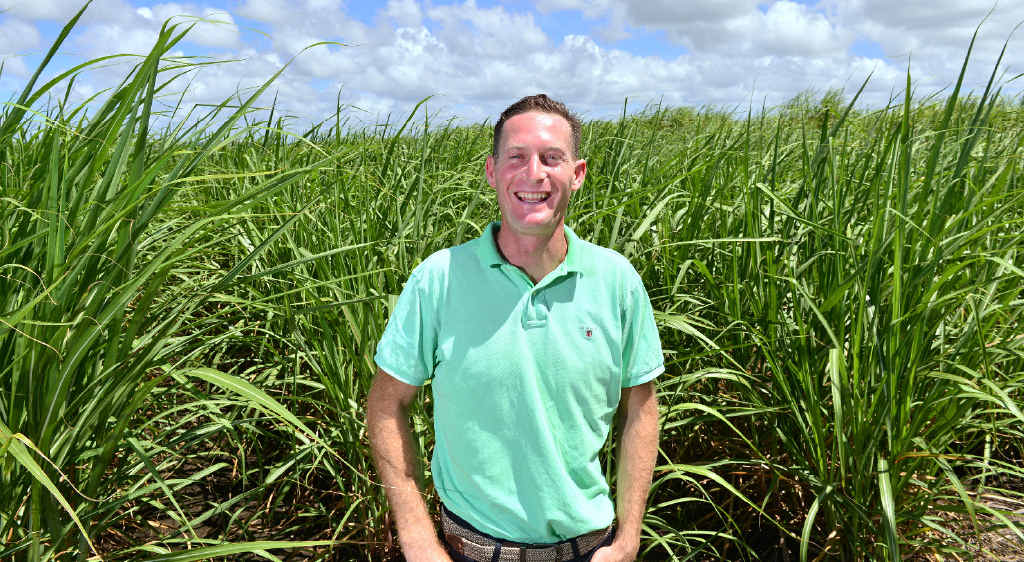 GROWING INTEREST: Medifarm’s Adam Benjamin hopes to use some of the Sunshine Coast’s unused canelands to grow medicinal cannabis. GROWING INTEREST: Medifarm’s Adam Benjamin hopes to use some of the Sunshine Coast’s unused canelands to grow medicinal cannabis.