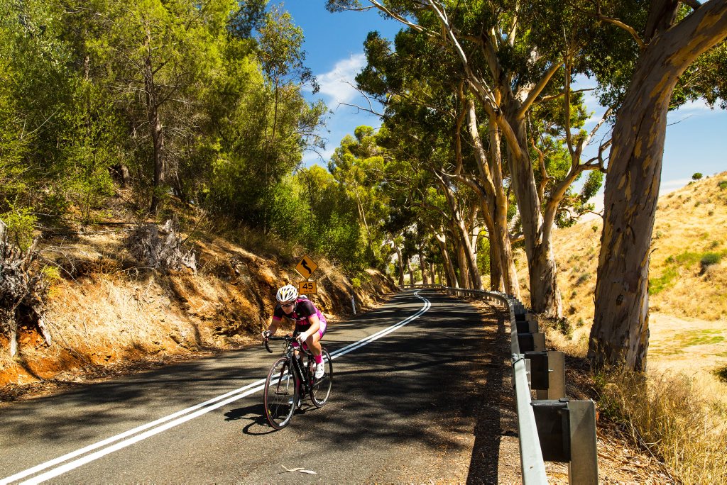 Norton Summit Time Trial as part of the 2016 Tour Down Under event. Photo: Contributed Norton Summit Time Trial as part of the 2016 Tour Down Under event. Photo: Contributed