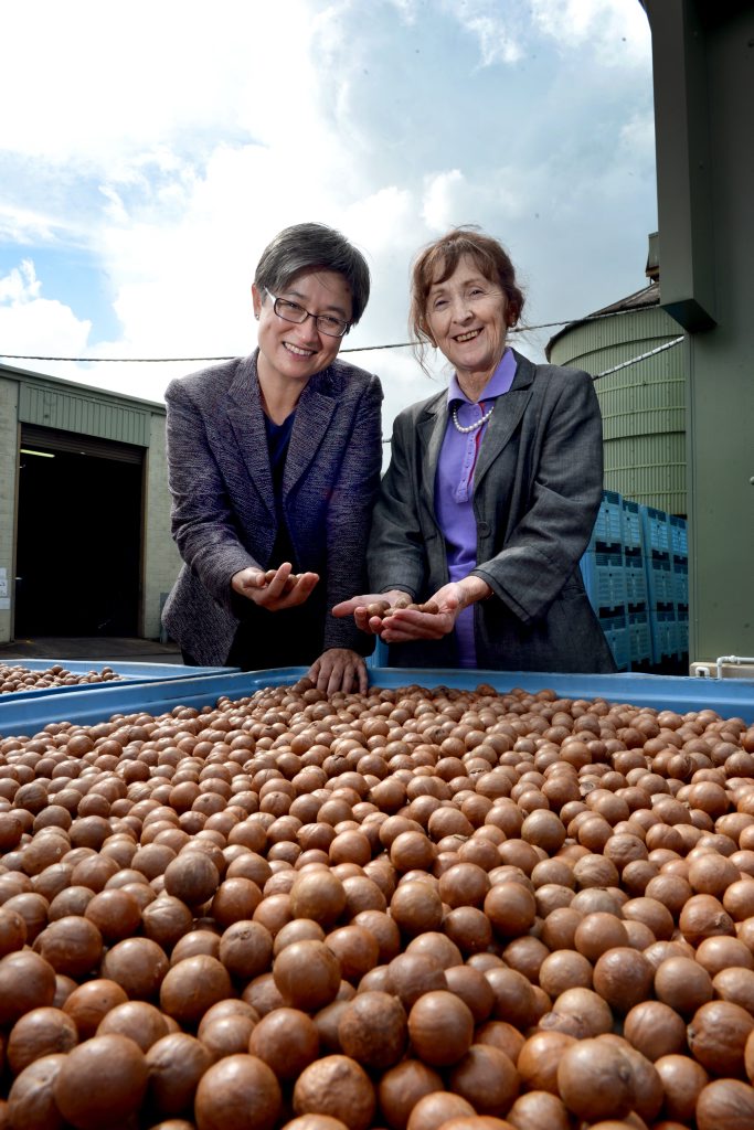 Senator Penny Wong visits the Macadamia Processing Centre at Alphadale with Labor candidate for Page Janelle Saffin.Photo Cathy Adams / The Northern Star Senator Penny Wong visits the Macadamia Processing Centre at Alphadale with Labor candidate for Page Janelle Saffin.Photo Cathy Adams / The Northern Star
