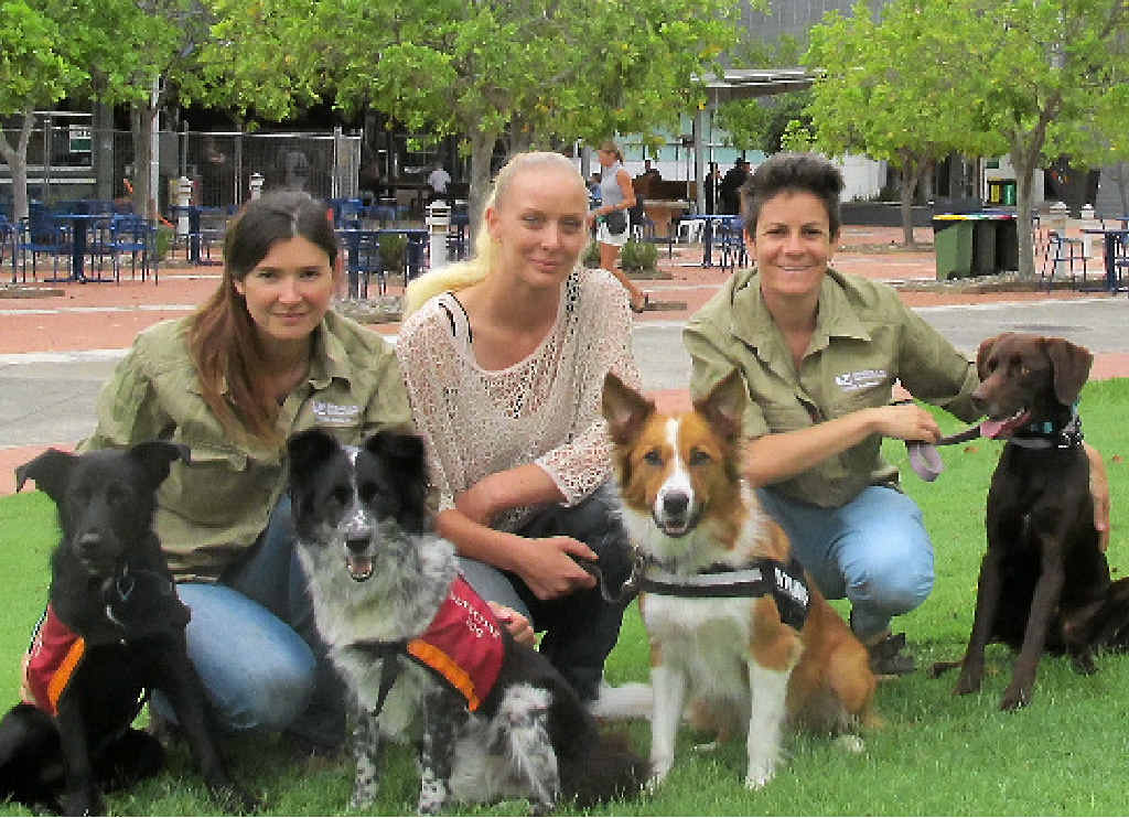 NEW RECRUITS: USC researchers Dr Romane Cristescu (left) and Dr Celine Frere (right) with Sarah Fyffe (centre) and their four dogs. NEW RECRUITS: USC researchers Dr Romane Cristescu (left) and Dr Celine Frere (right) with Sarah Fyffe (centre) and their four dogs.