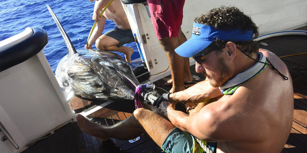 Byron Milne (right) and the striped marlin that he caught off the cost of Western Australia. Photo / Facebook Byron Milne (right) and the striped marlin that he caught off the cost of Western Australia. Photo / Facebook